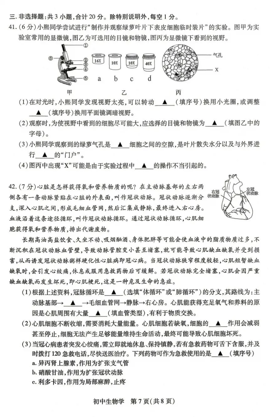 中考真题速递:2026江苏苏州学业水平考试生物学试卷+参考答案 有pdf文档-第8张图片-四季读书网 中考真题速递:2026江苏苏州学业水平考试生物学试卷+参考答案 有pdf文档-第8张图片-四季读书网