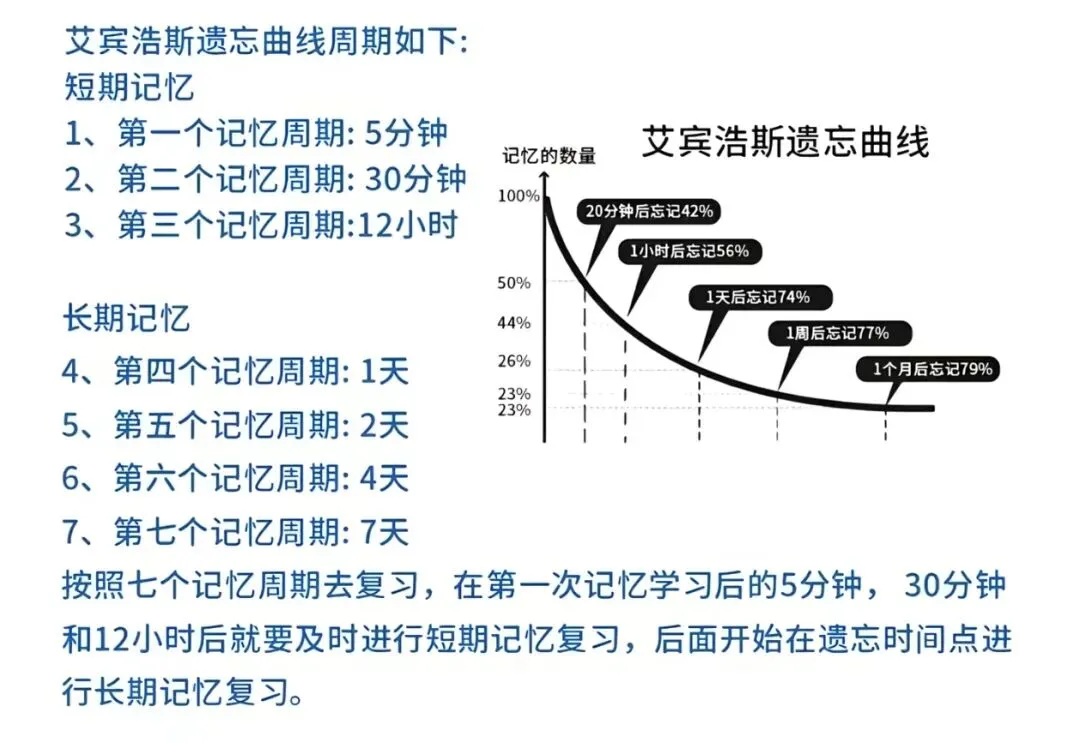 对应上海新中考,这或许是最好的学习方案!-第14张图片-四季读书网