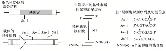 2026山东卷真题及其解析下载(高清打印版)-第1张图片-四季读书网 2026山东卷真题及其解析下载(高清打印版)-第1张图片-四季读书网