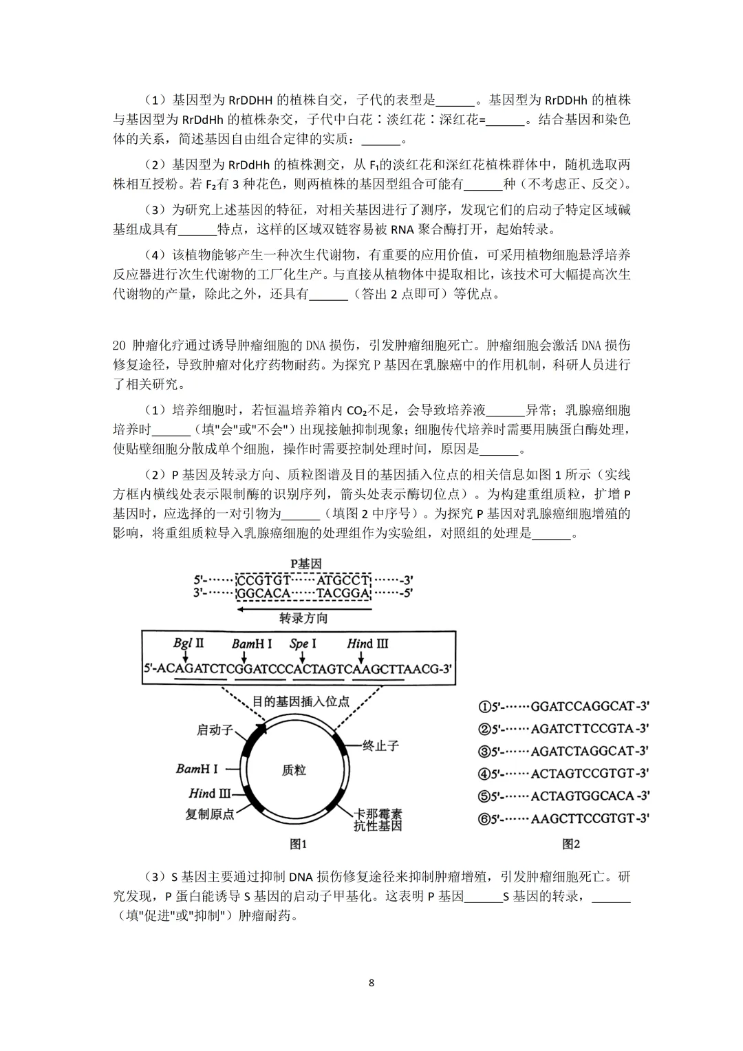 2026年安徽高考生物真题(文后附有word版及答案解析免费下载)-第8张图片-四季读书网