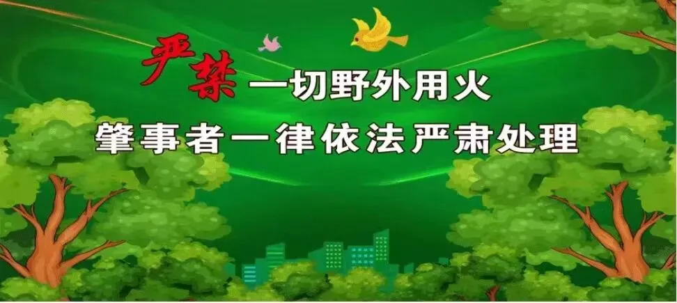 落笔逐梦 青春启航!我县2026年中考圆满落幕-第9张图片-四季读书网