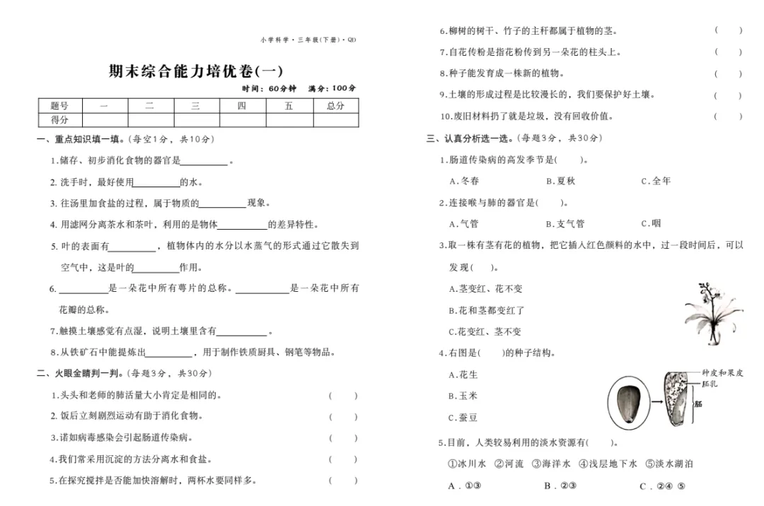 2026春新版(青岛版)科学,单元试卷+期末试卷-第22张图片-四季读书网