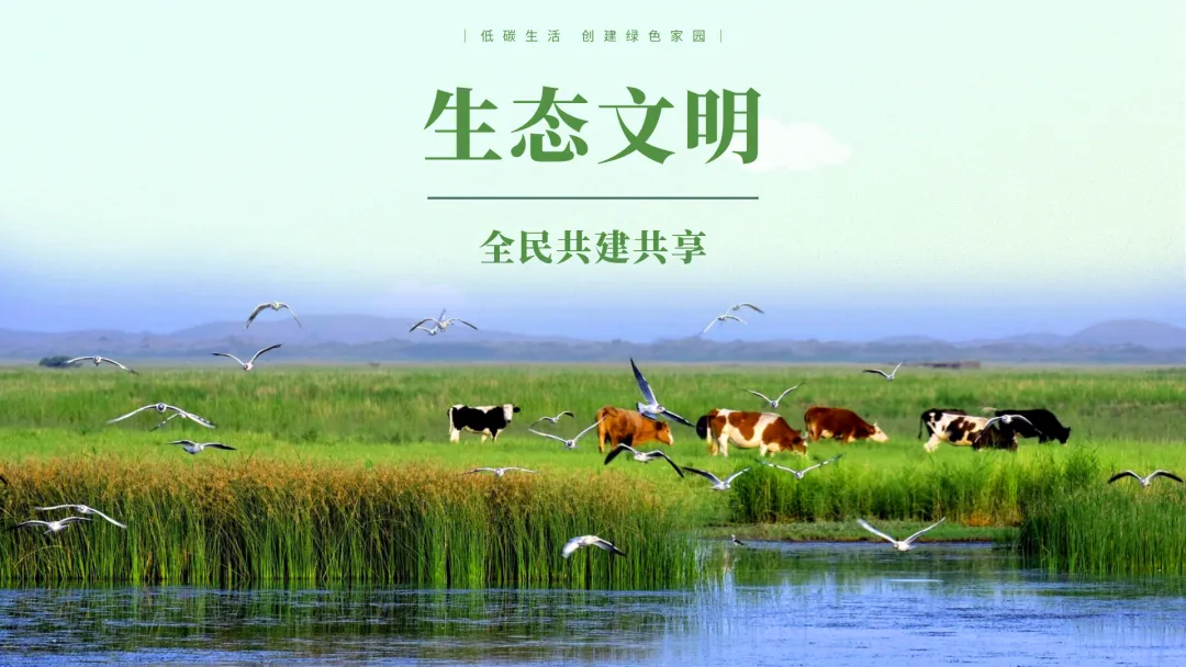 皮山县委书记李志峰深入中考考点调研考试组织保障工作-第6张图片-四季读书网