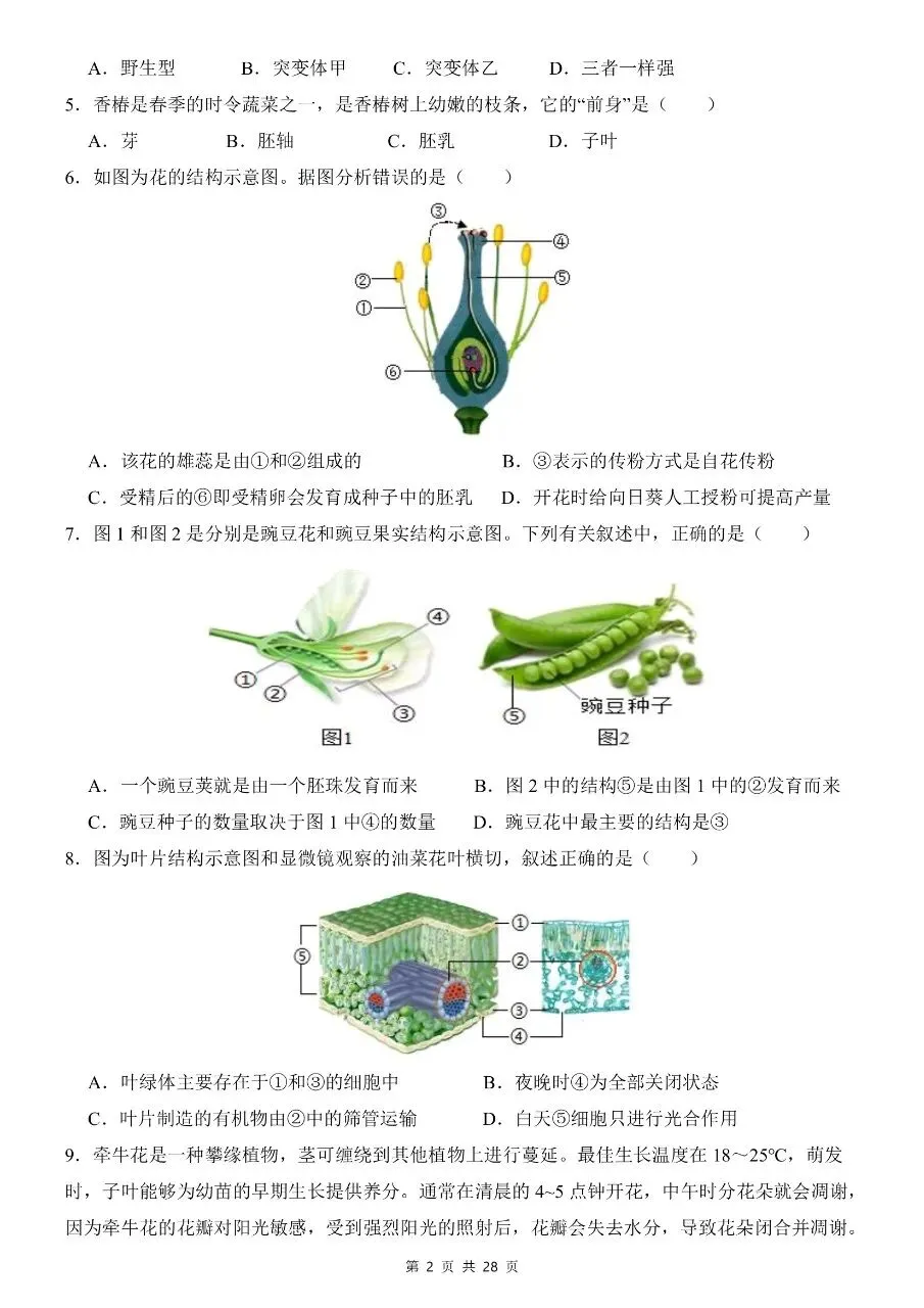七年级下册生物|期末模拟考试试卷(人教版)(高清下载打印)-第2张图片-四季读书网