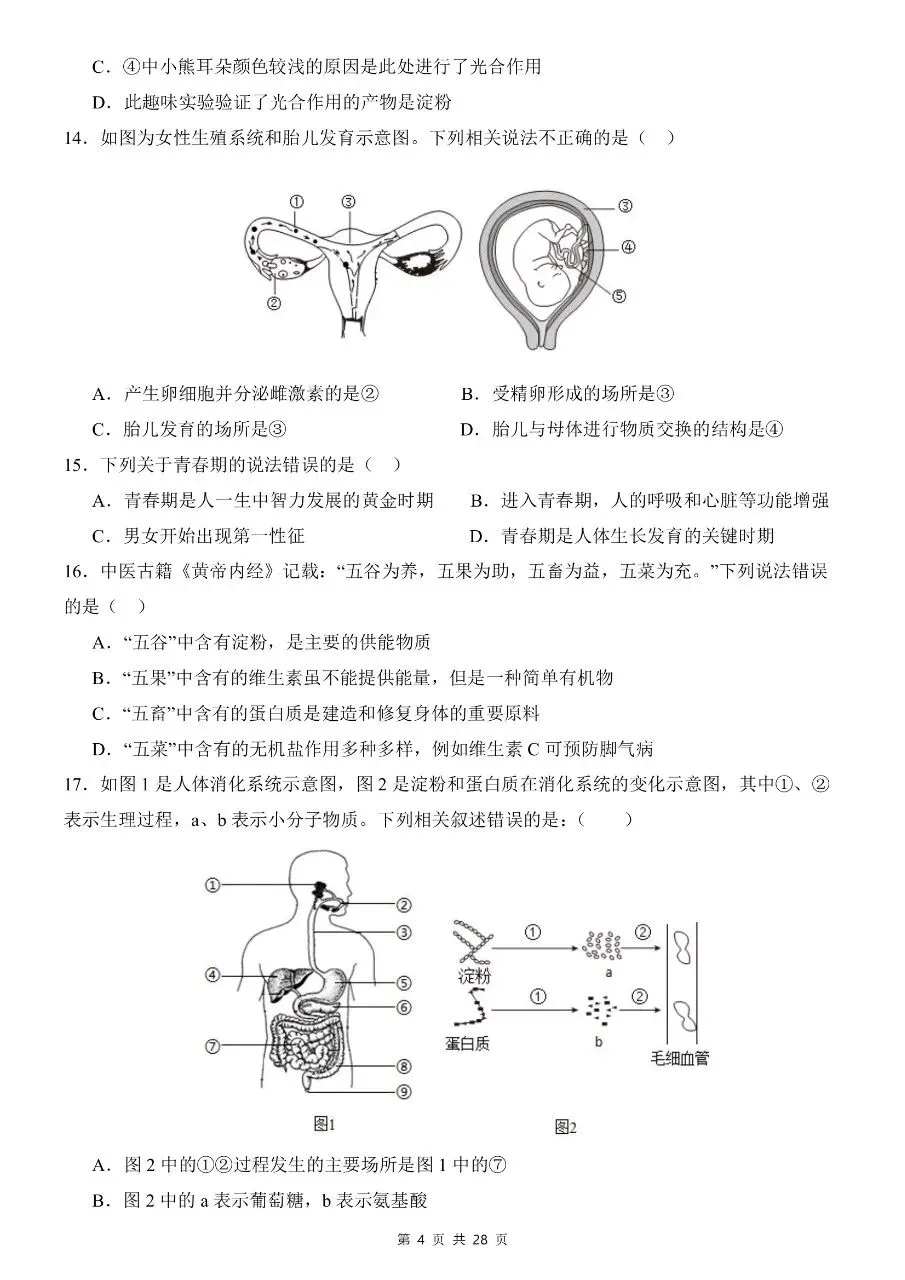 七年级下册生物|期末模拟考试试卷(人教版)(高清下载打印)-第4张图片-四季读书网