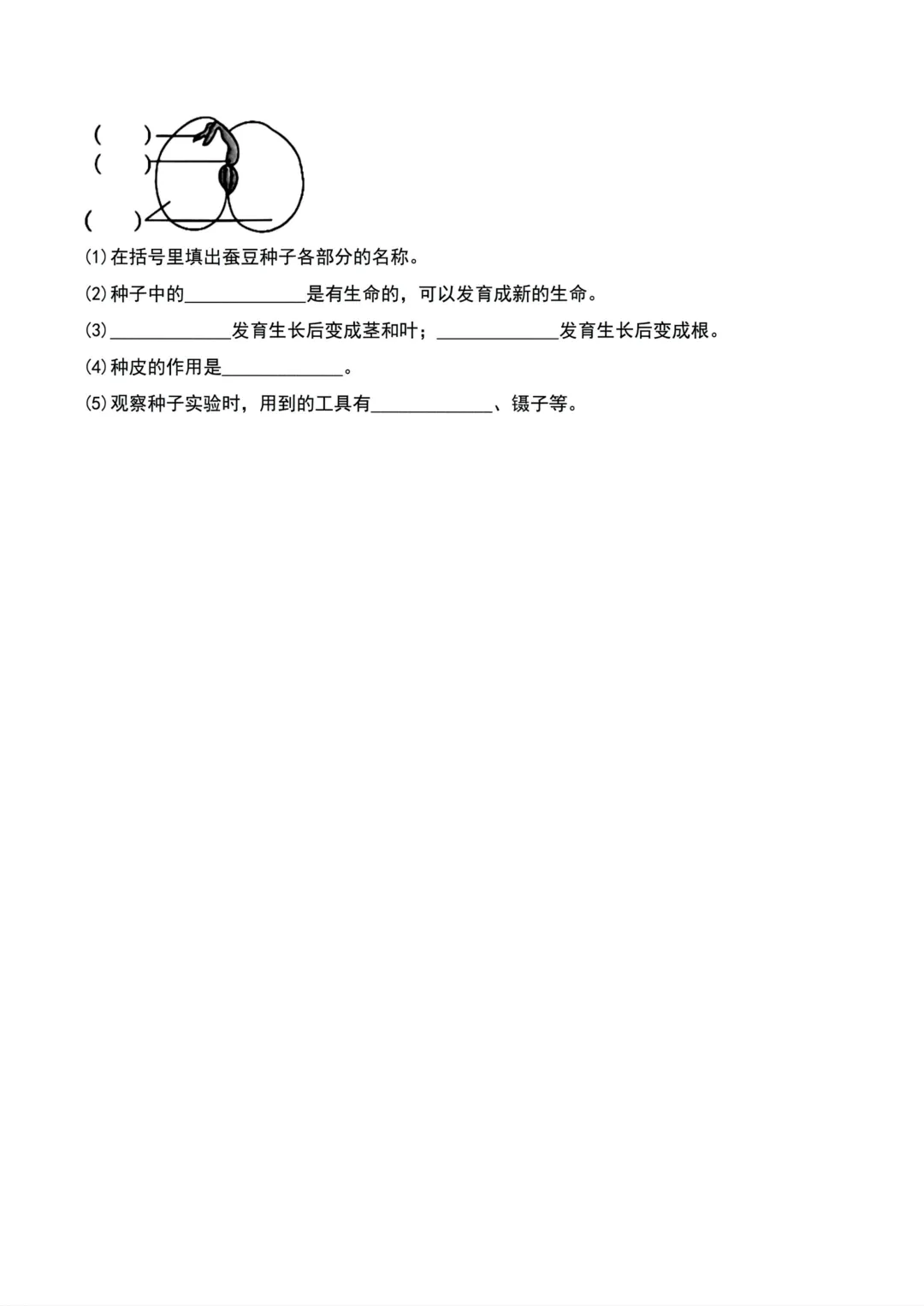 26年新版四年级下册科学《期末模拟自测考试卷子》,含七大高频核心必考常考题型,带答案-第6张图片-四季读书网 26年新版四年级下册科学《期末模拟自测考试卷子》,含七大高频核心必考常考题型,带答案-第6张图片-四季读书网