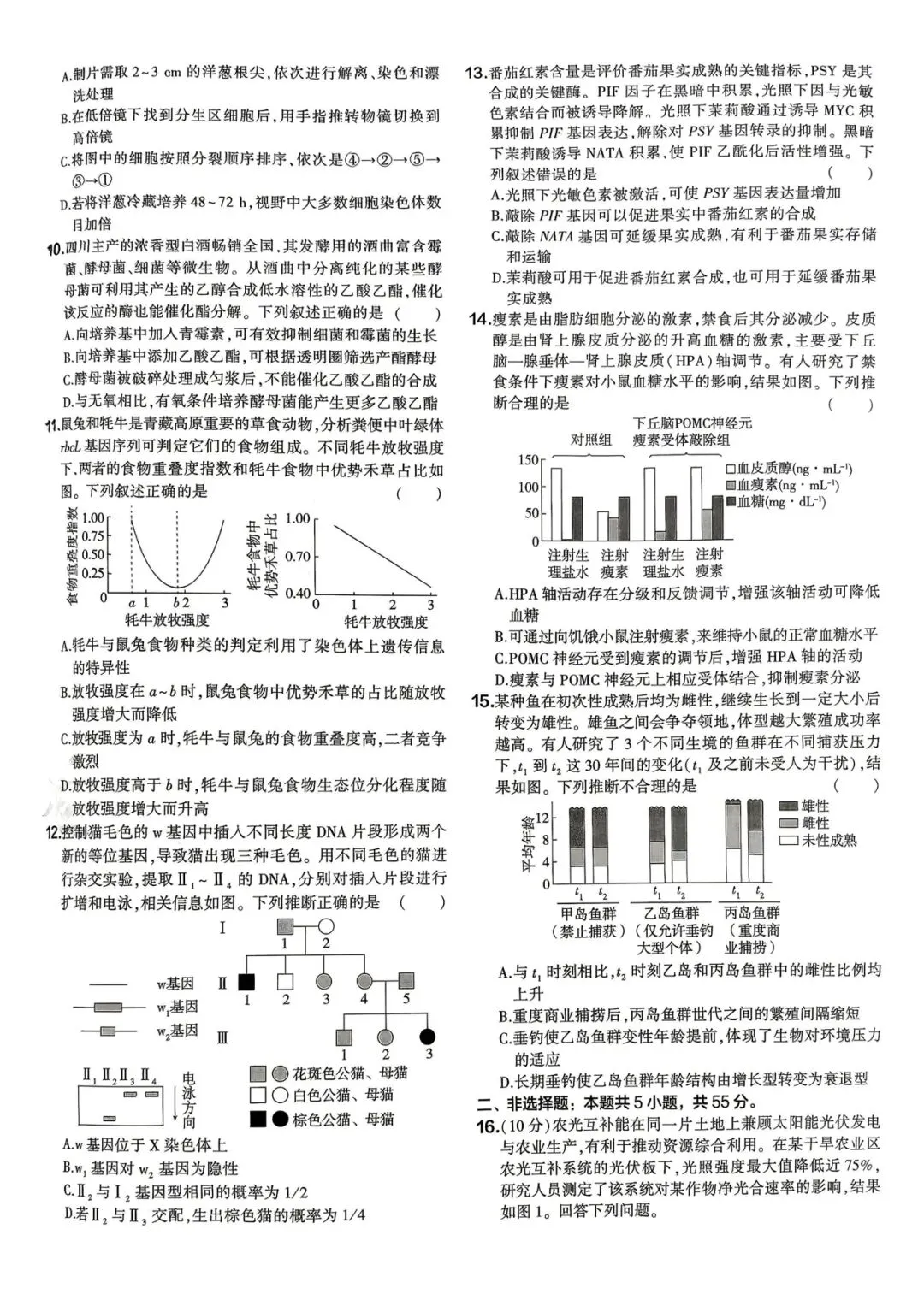 2026年高考真题之四川卷-第3张图片-四季读书网