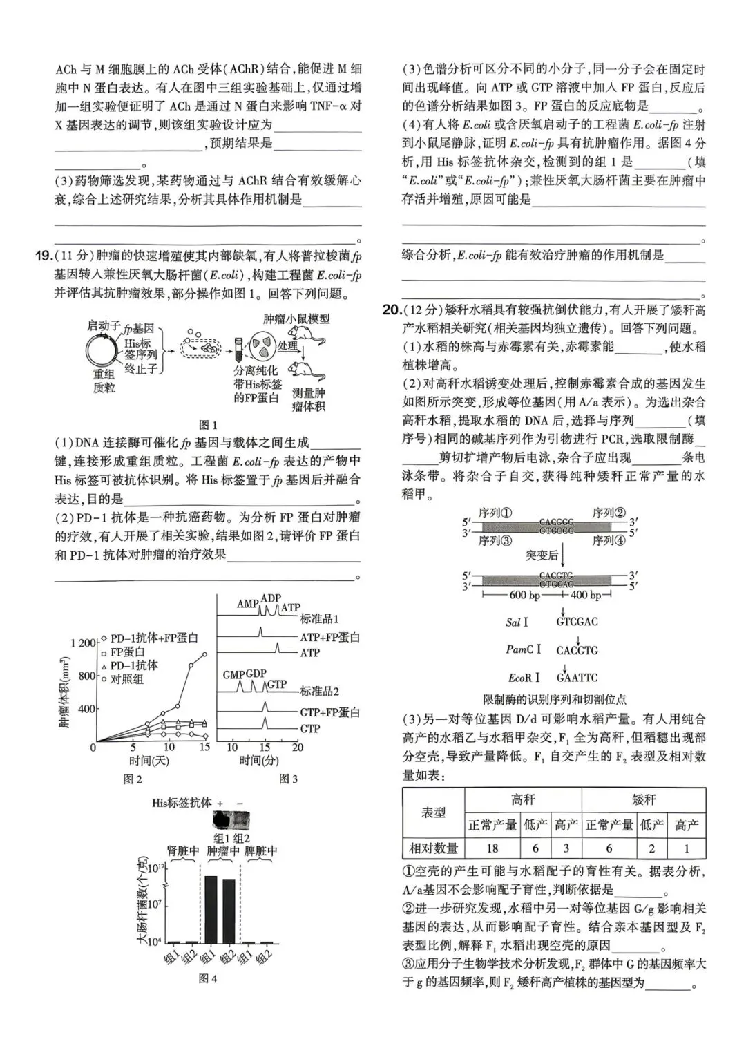 2026年高考真题之四川卷-第5张图片-四季读书网