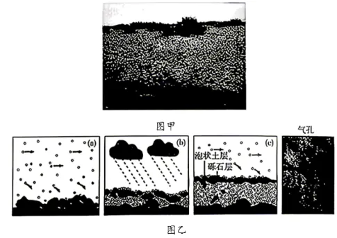 2026年湖南高考地理真题及参考答案-第12张图片-四季读书网 2026年湖南高考地理真题及参考答案-第12张图片-四季读书网