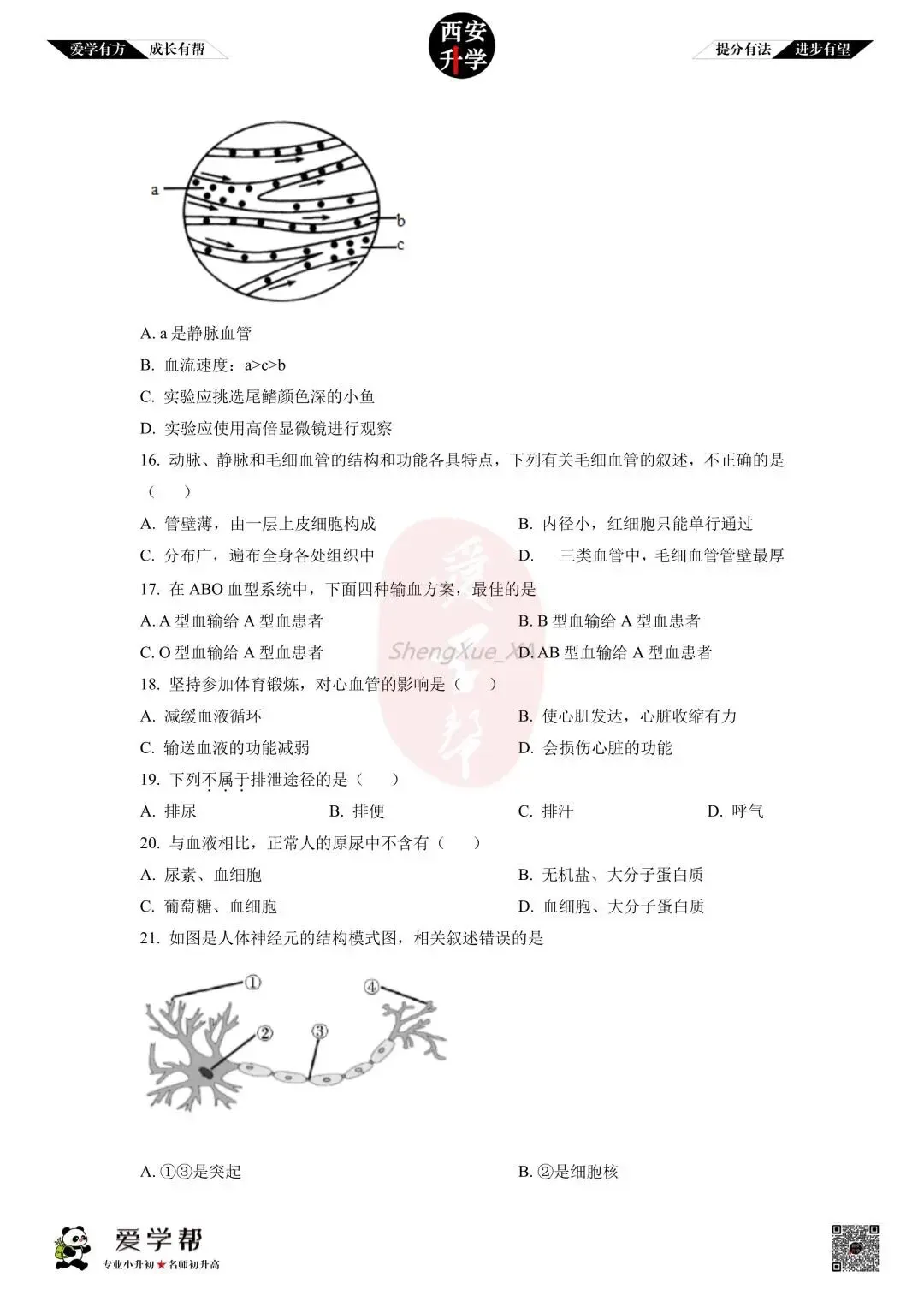 【初中名校 往年真题】七下期末:铁一中~生物(含答案)-第5张图片-四季读书网