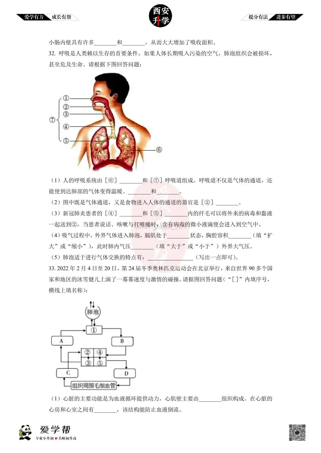 【初中名校 往年真题】七下期末:铁一中~生物(含答案)-第8张图片-四季读书网