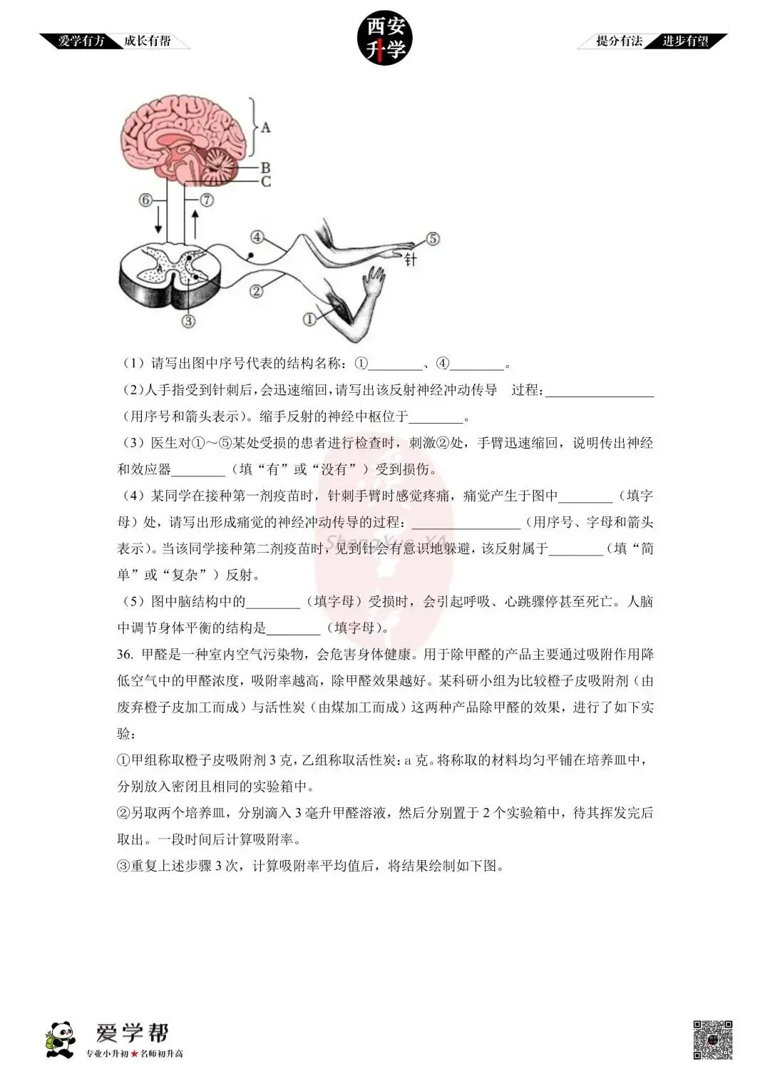 【初中名校 往年真题】七下期末:铁一中~生物(含答案)-第10张图片-四季读书网