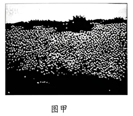 高考真题----2026年高考地理 湖南卷-第11张图片-四季读书网