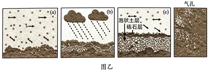 高考真题----2026年高考地理 湖南卷-第12张图片-四季读书网