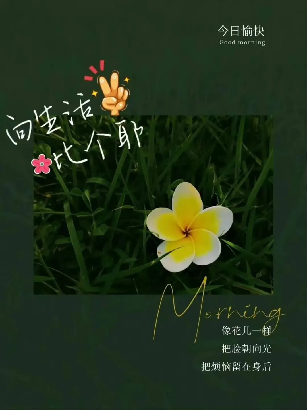 六月二十二日,中考的第二天-第16张图片-四季读书网