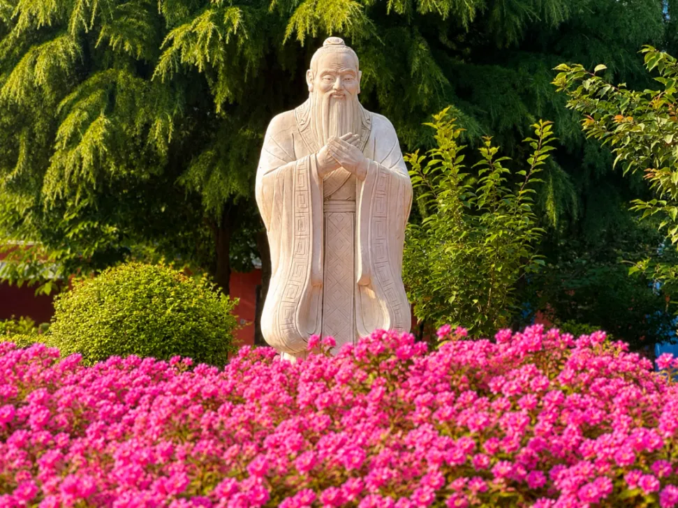 中考结束了,有些话想轻轻说给你听-第11张图片-四季读书网
