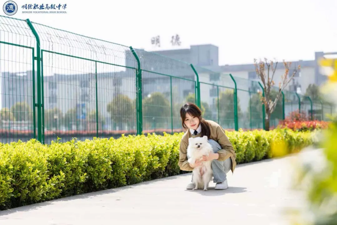 中考后选这条路,孩子照样能上本科!-第2张图片-四季读书网 中考后选这条路,孩子照样能上本科!-第2张图片-四季读书网