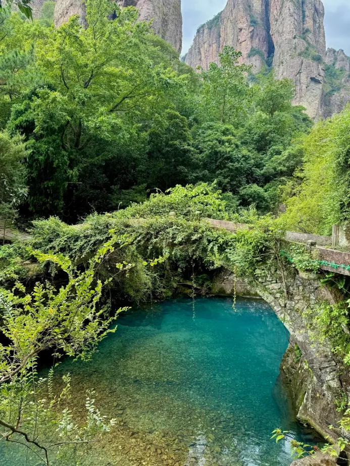 中考落幕|赴一场夏日慢旅,敬滚烫少年时光-第6张图片-四季读书网 中考落幕|赴一场夏日慢旅,敬滚烫少年时光-第6张图片-四季读书网