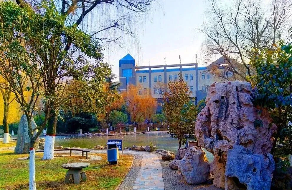 中考完后学生应该做什么-第1张图片-四季读书网 中考完后学生应该做什么-第1张图片-四季读书网