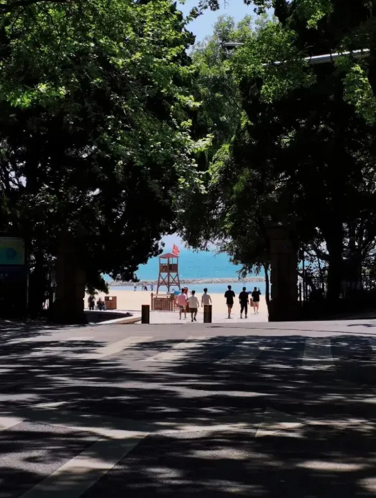 中考落幕|赴一场夏日慢旅,敬滚烫少年时光-第28张图片-四季读书网 中考落幕|赴一场夏日慢旅,敬滚烫少年时光-第28张图片-四季读书网