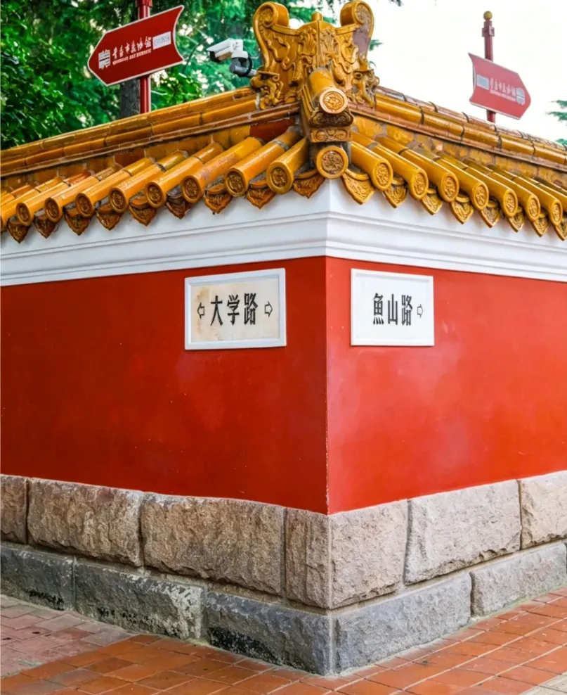 中考落幕|赴一场夏日慢旅,敬滚烫少年时光-第29张图片-四季读书网 中考落幕|赴一场夏日慢旅,敬滚烫少年时光-第29张图片-四季读书网