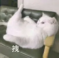 @准高一家长:中考后学雅思托福,真的很重要!-第7张图片-四季读书网 @准高一家长:中考后学雅思托福,真的很重要!-第7张图片-四季读书网