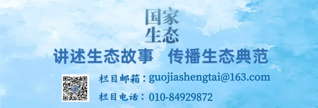 希望中考的学子们都可以步步登高 “一鹭莲科”-第12张图片-四季读书网