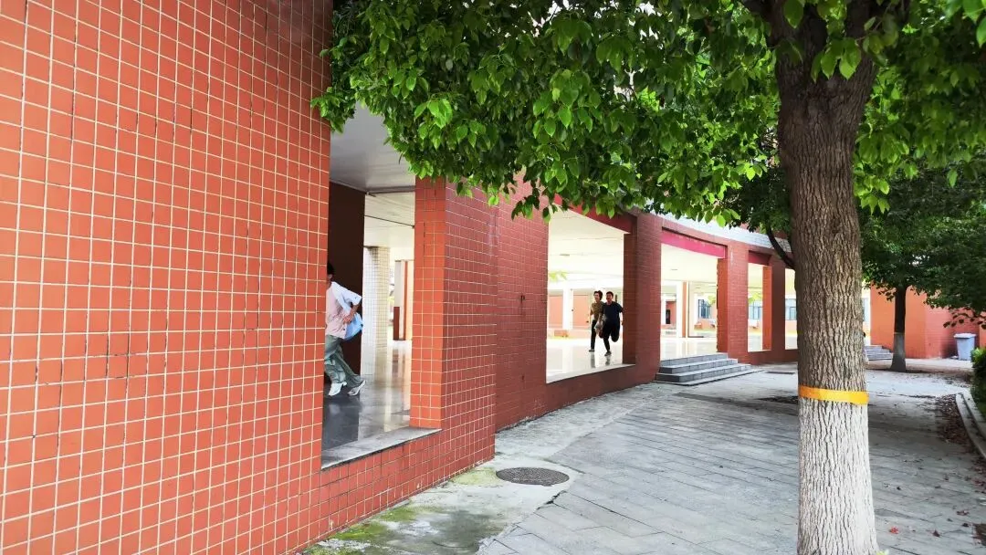 中考落幕:少年逐梦勇向前-第3张图片-四季读书网