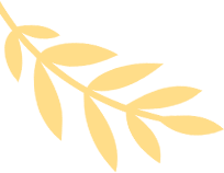 中考生物专项精讲----实验探究专题-第3张图片-四季读书网 中考生物专项精讲----实验探究专题-第3张图片-四季读书网