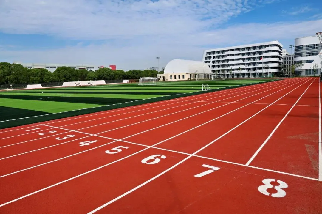 欢迎中考志愿填报上海松江区爱菊学校(代码175025)-第6张图片-四季读书网 欢迎中考志愿填报上海松江区爱菊学校(代码175025)-第6张图片-四季读书网