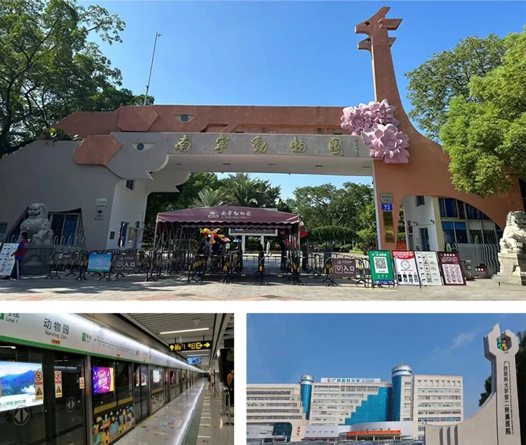 中考倒计时1天!南宁市桂华高级中学祝全市中考生一举夺魁,中考必胜!-第39张图片-四季读书网