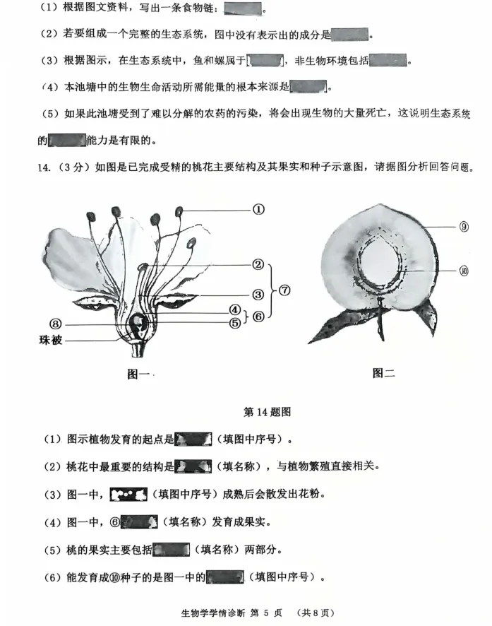 2025年7月沈阳大东七年期末试卷+部分答案-第57张图片-四季读书网