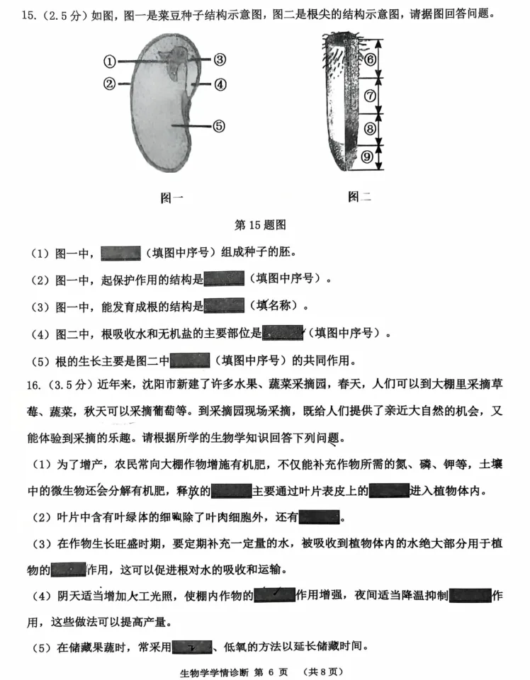 2025年7月沈阳大东七年期末试卷+部分答案-第58张图片-四季读书网