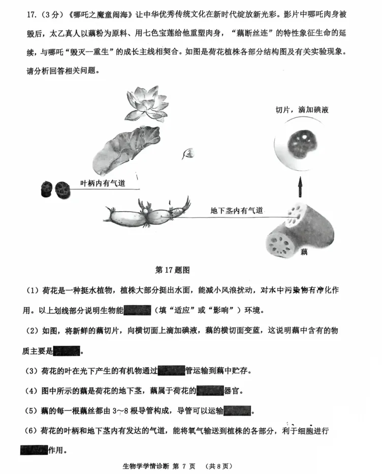 2025年7月沈阳大东七年期末试卷+部分答案-第59张图片-四季读书网