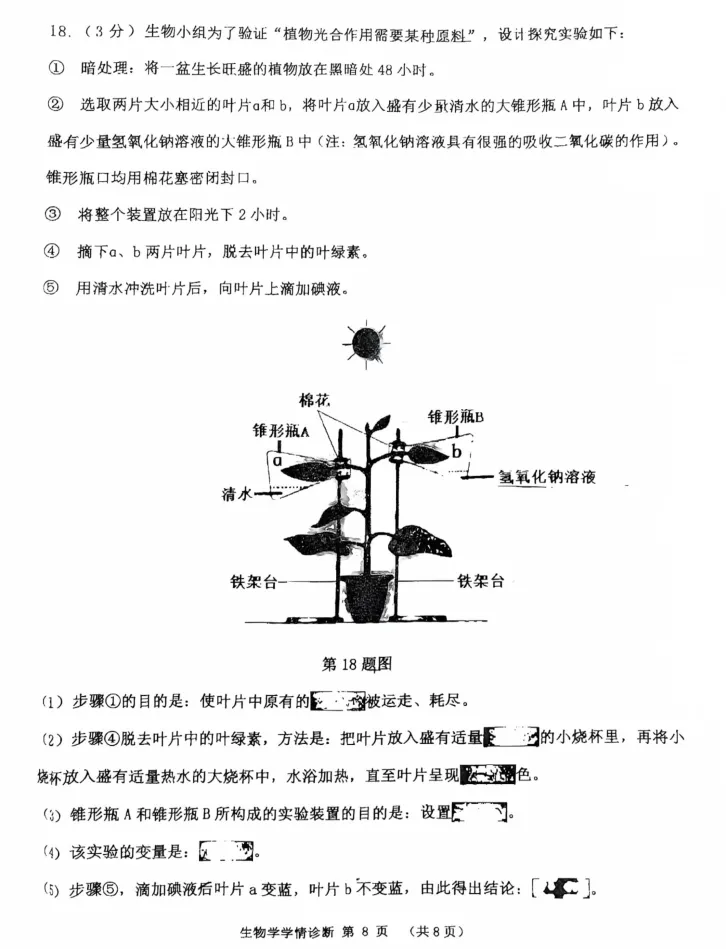 2025年7月沈阳大东七年期末试卷+部分答案-第60张图片-四季读书网