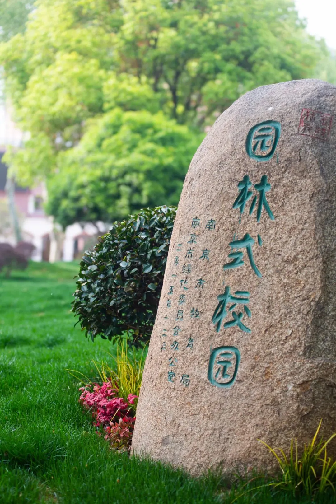 中考之后,择校之前-第6张图片-四季读书网 中考之后,择校之前-第6张图片-四季读书网