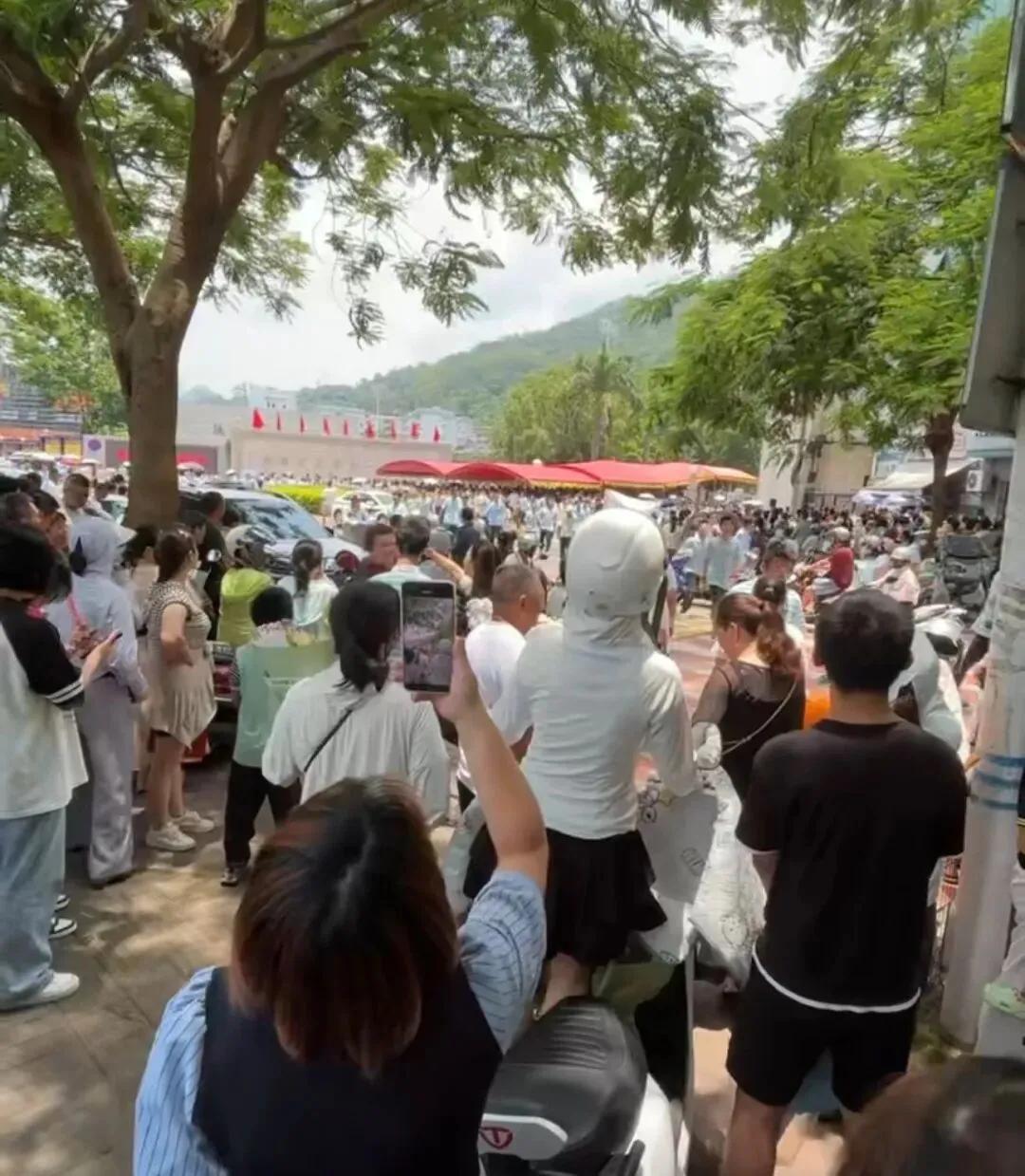 漳平中考结束!考场外鲜花千姿百态,这届家长给力...-第3张图片-四季读书网 漳平中考结束!考场外鲜花千姿百态,这届家长给力...-第3张图片-四季读书网