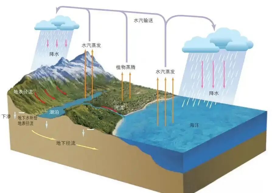 2026浙江中考作文——你看见啥了-第1张图片-四季读书网 2026浙江中考作文——你看见啥了-第1张图片-四季读书网
