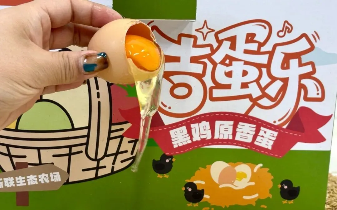 中考营养补给|新联黑鸡蛋+好念头麻酱黑鸡蛋,陪少年笔锋圆梦-第11张图片-四季读书网 中考营养补给|新联黑鸡蛋+好念头麻酱黑鸡蛋,陪少年笔锋圆梦-第11张图片-四季读书网