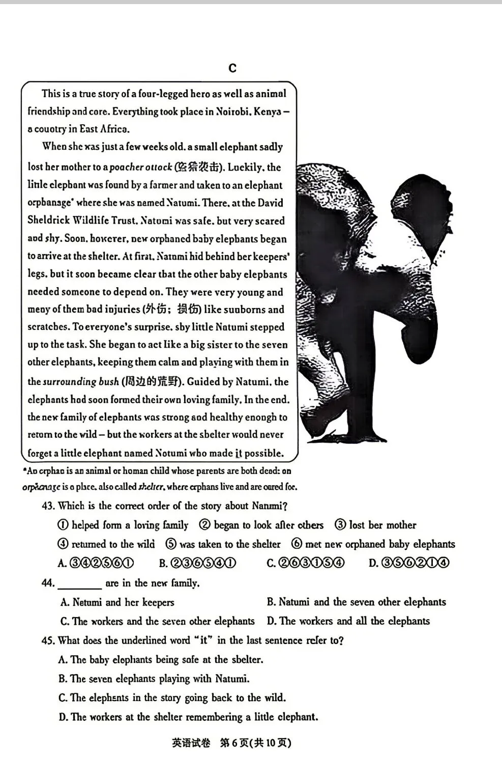 2026陕西省中考英语真题-第6张图片-四季读书网