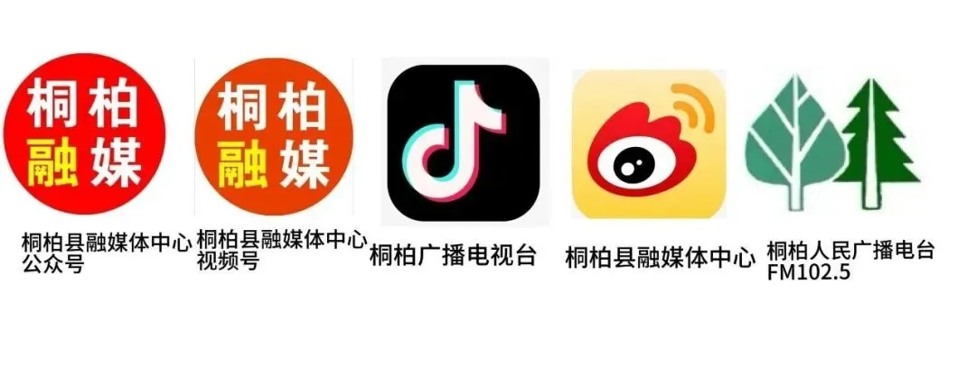 『今日中考』┃桐柏县中考考点交通管制及绕行路线提示-第15张图片-四季读书网 『今日中考』┃桐柏县中考考点交通管制及绕行路线提示-第15张图片-四季读书网