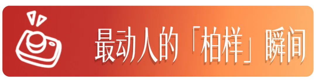 中考收官|这些被爱包围的「柏样」瞬间,都成了最美的风景-第2张图片-四季读书网 中考收官|这些被爱包围的「柏样」瞬间,都成了最美的风景-第2张图片-四季读书网