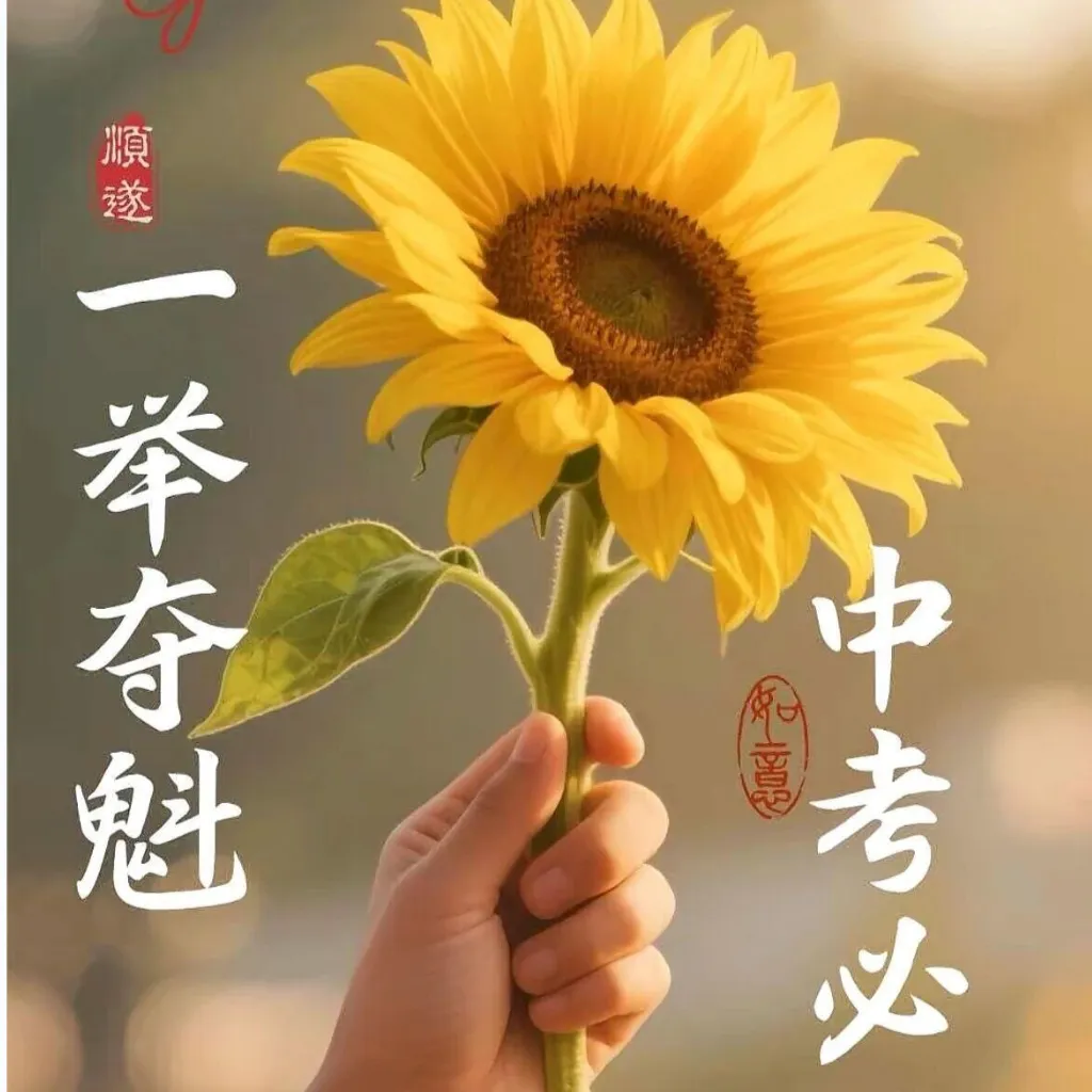 “中考加油祝福文案,一定要这样发”-第2张图片-四季读书网 “中考加油祝福文案,一定要这样发”-第2张图片-四季读书网