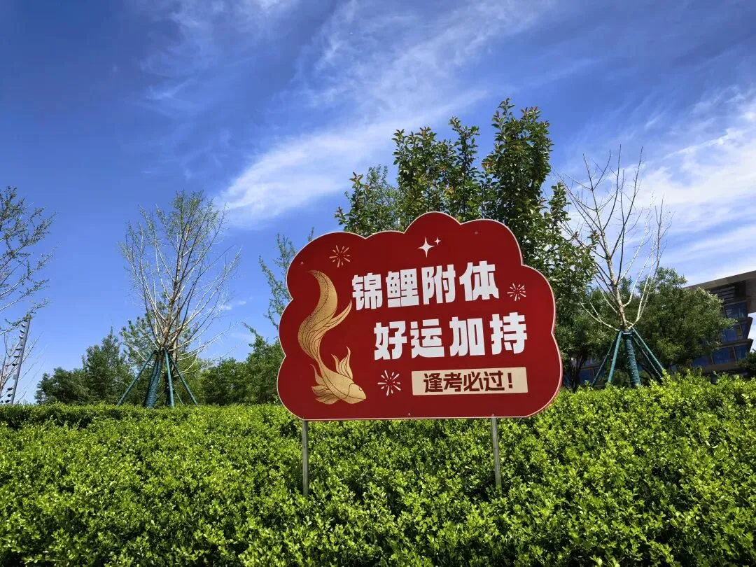中考好运,接力传递-第5张图片-四季读书网