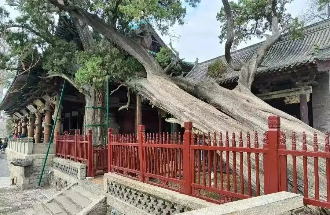 晋祠登上今年中考英语卷,从试题读懂晋祠的时代力量-第6张图片-四季读书网 晋祠登上今年中考英语卷,从试题读懂晋祠的时代力量-第6张图片-四季读书网