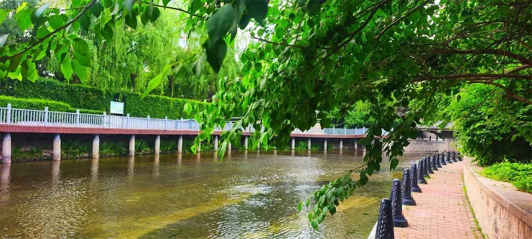 中考三天雨晴交替丨气温平稳体感舒适,天气整体利好从容应考 #超多美图的天气预报-第8张图片-四季读书网 中考三天雨晴交替丨气温平稳体感舒适,天气整体利好从容应考 #超多美图的天气预报-第8张图片-四季读书网