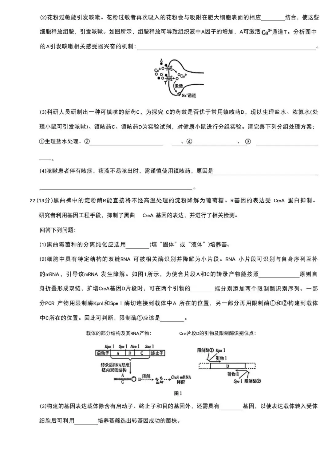 2026年高考真题河北生物卷-第7张图片-四季读书网