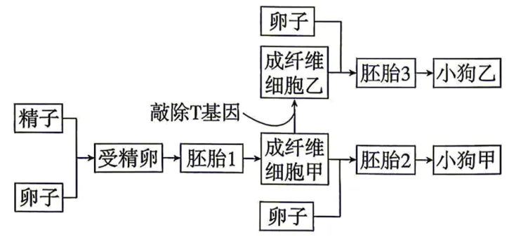2026年四川省 生物学高考真题 文后附下载链接-第1张图片-四季读书网 2026年四川省 生物学高考真题 文后附下载链接-第1张图片-四季读书网