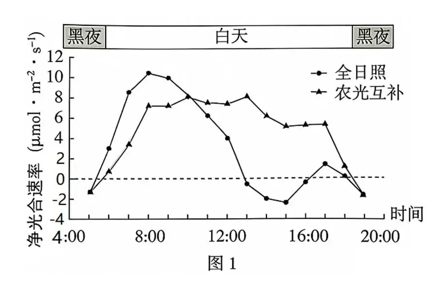 2026年四川省 生物学高考真题 文后附下载链接-第7张图片-四季读书网 2026年四川省 生物学高考真题 文后附下载链接-第7张图片-四季读书网