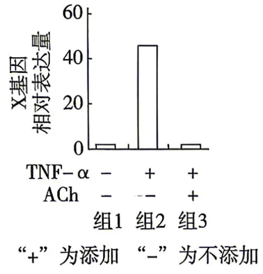 2026年四川省 生物学高考真题 文后附下载链接-第10张图片-四季读书网 2026年四川省 生物学高考真题 文后附下载链接-第10张图片-四季读书网